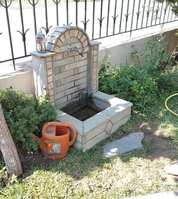 Family Garden